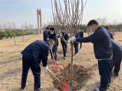 植树节活动